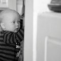 Gal_131805_0093 copy